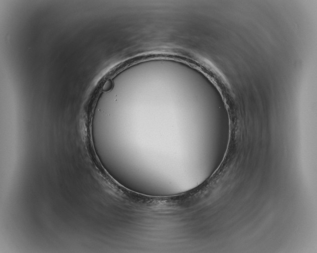 X0000116151360200911301532