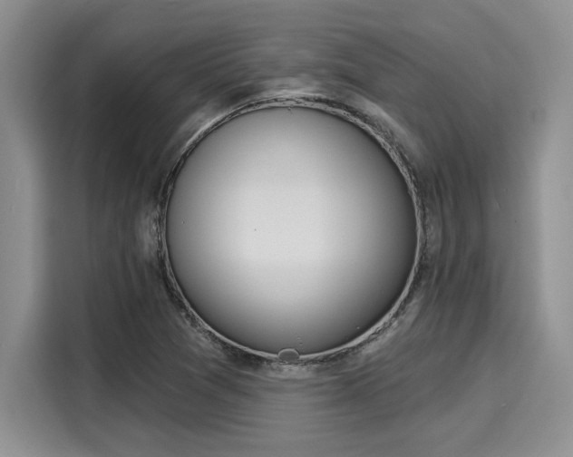 X0000116151361200911301532