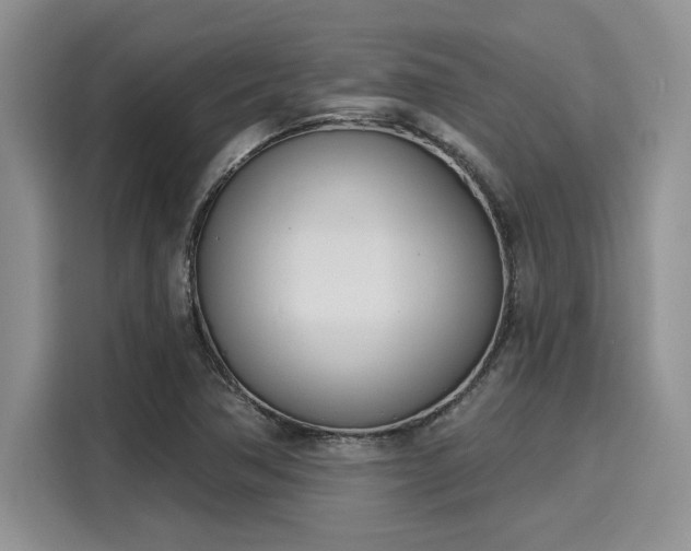 X0000116151362200911301532