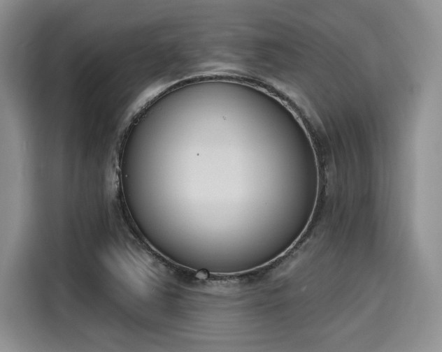 X0000116151363200911301532