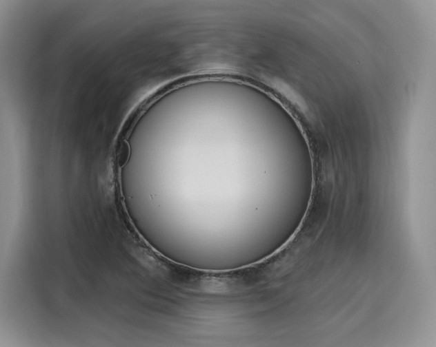 X0000116151364200911301532