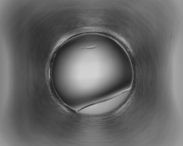 X0000116151365200911301532