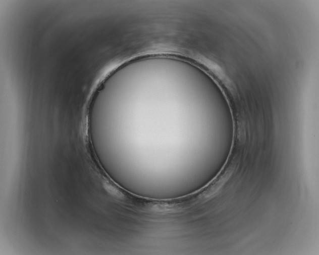 X0000116151366200911301532