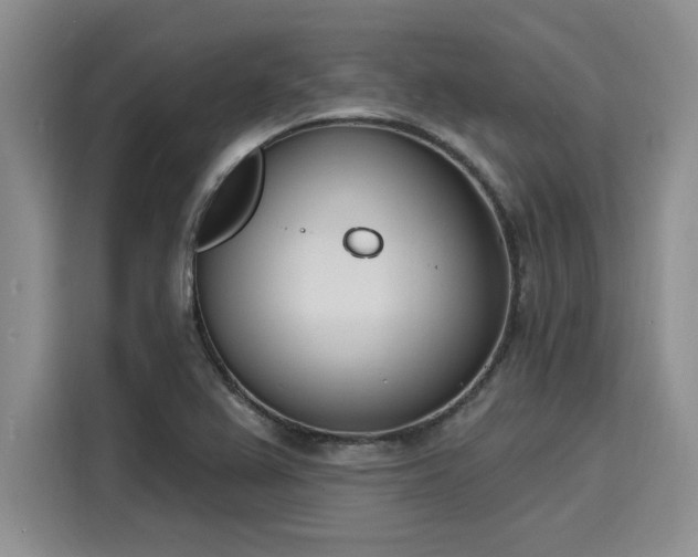 X0000116151367200911301532