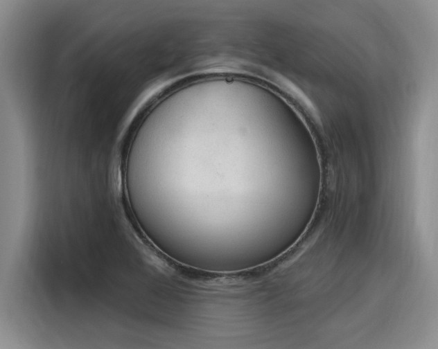 X0000116151368200911301532