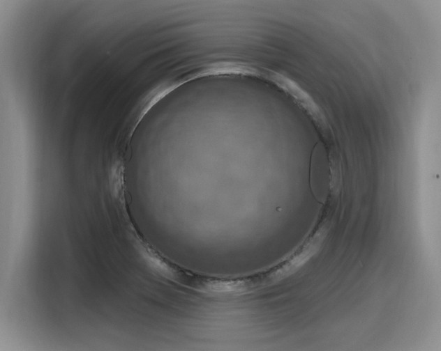 X0000116151369200911301532