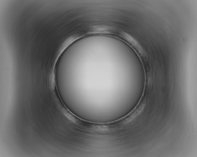 X0000116151370200911301532