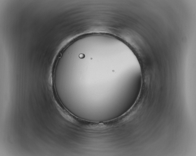 X0000116151372200911301532