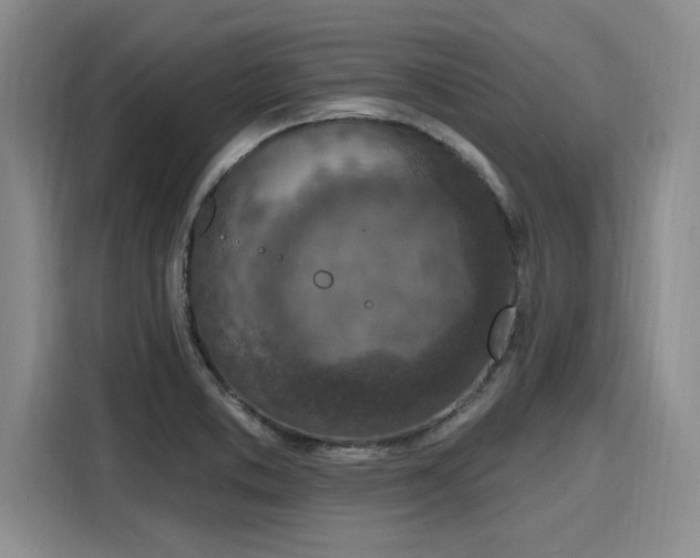 X0000116151373200911301532