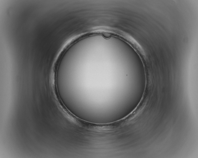 X0000116151376200911301532