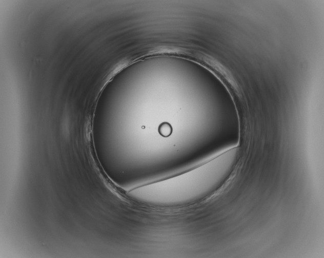 X0000116151377200911301532