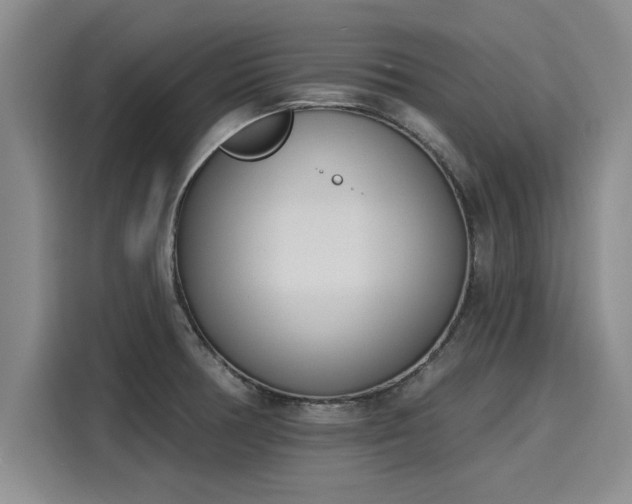 X0000116151378200911301532