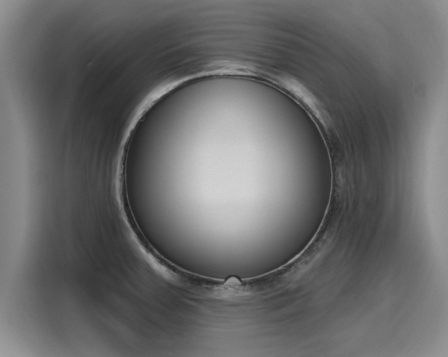 X0000116151379200911301532