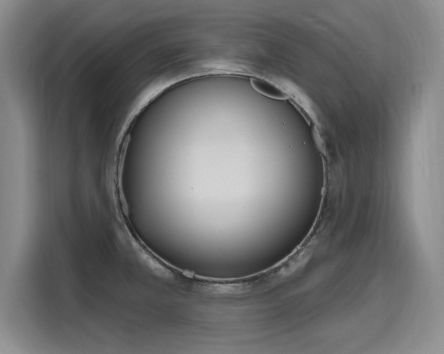 X0000116151381200911301532