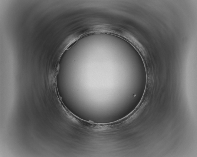 X0000116151385200911301532