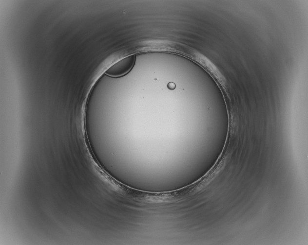 X0000116151386200911301532