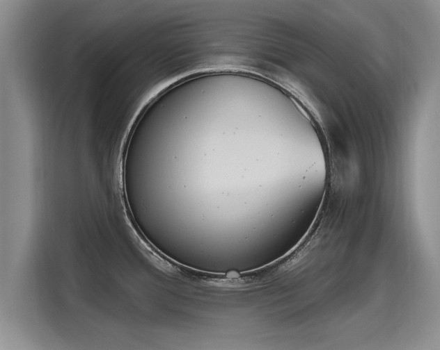 X0000116151388200911301532