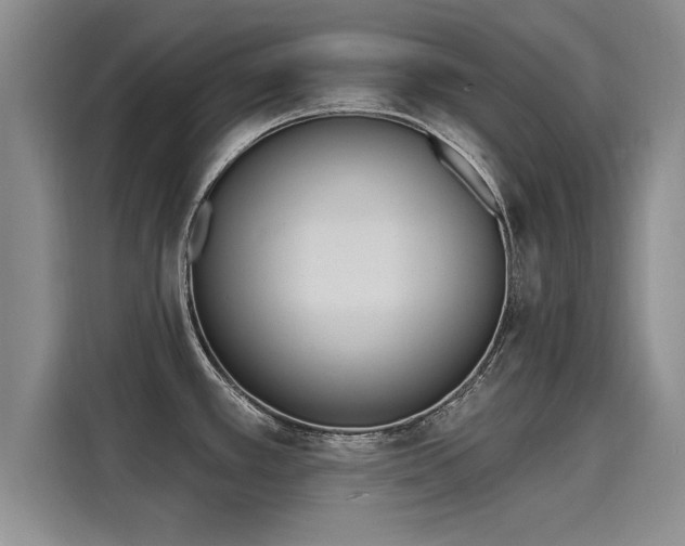 X0000116151389200911301532