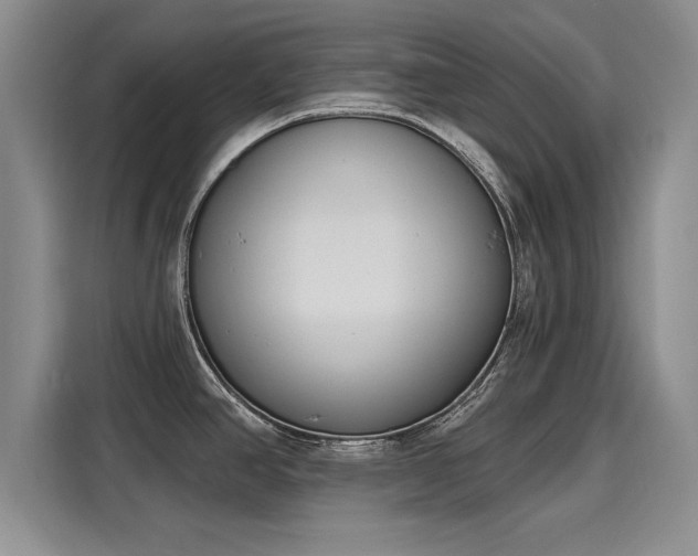 X0000116151390200911301532