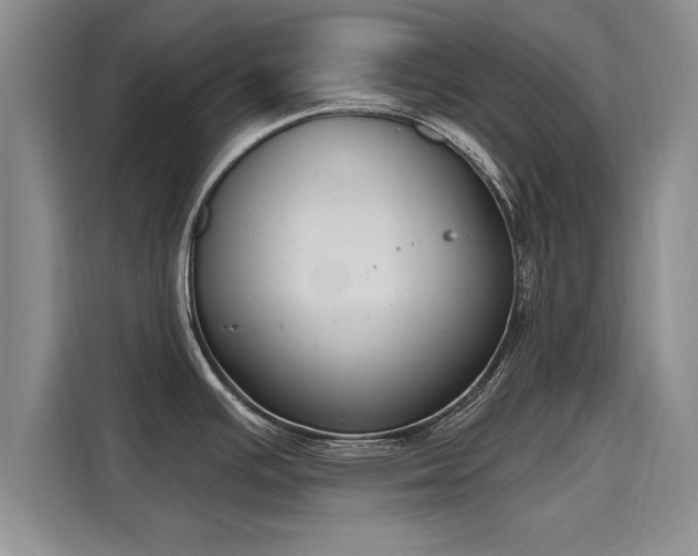 X0000116151391200911301532