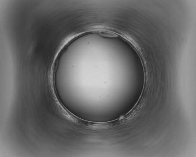 X0000116151392200911301532