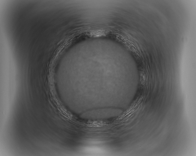 X0000116151393200911301531