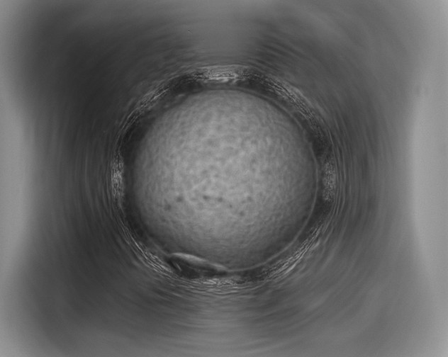 X0000116151394200911301531