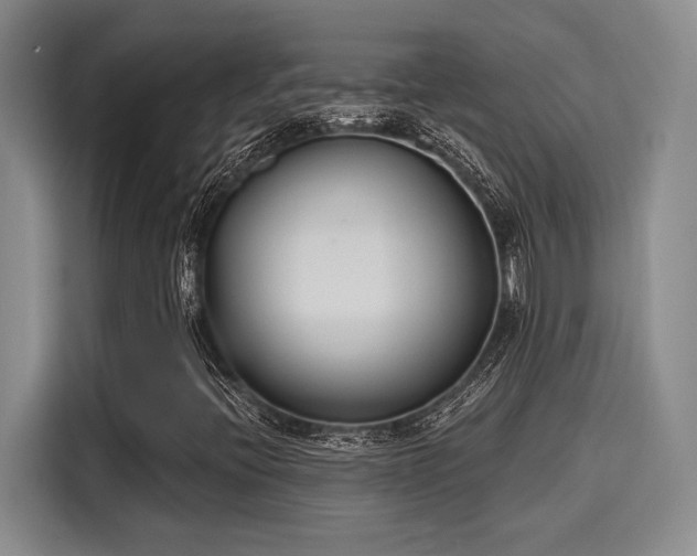 X0000116151396200911301531