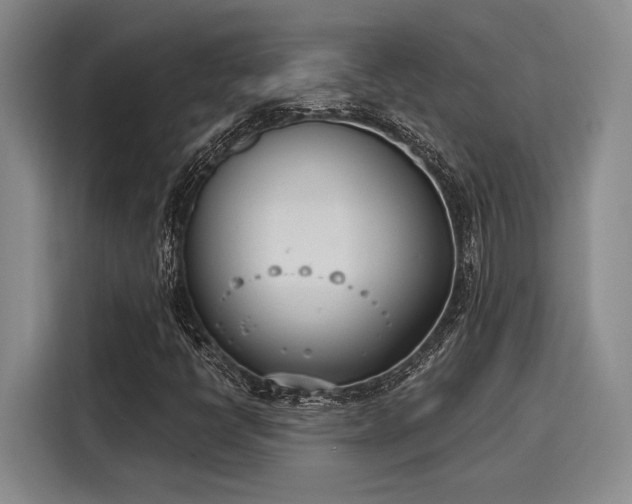 X0000116151398200911301531