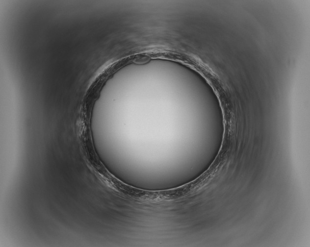 X0000116151400200911301531