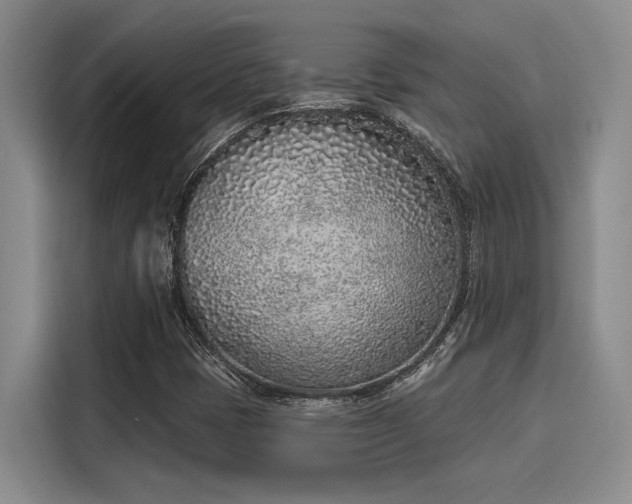 X0000116151401200911301531