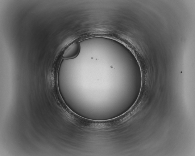 X0000116151402200911301531