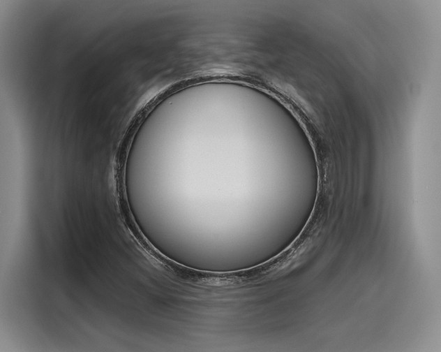 X0000116151404200911301531