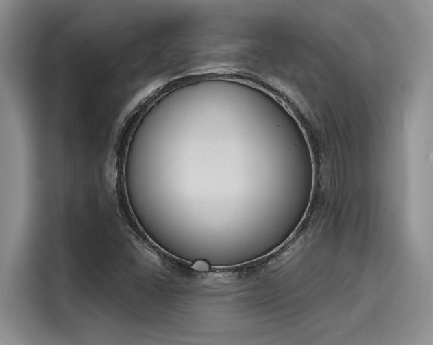 X0000116151406200911301531