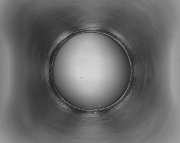 X0000116151410200911301531