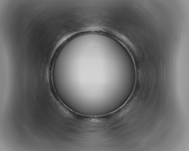 X0000116151412200911301531