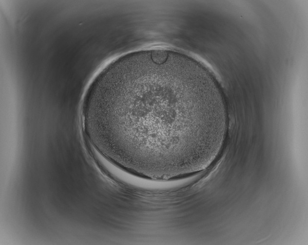 X0000116151414200911301531