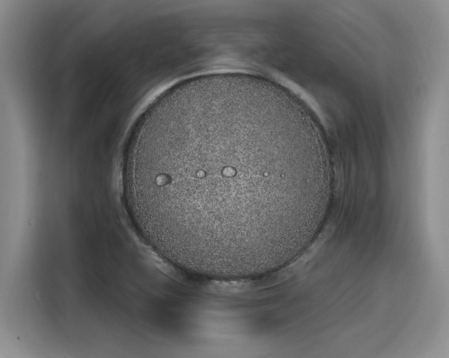 X0000116151415200911301531