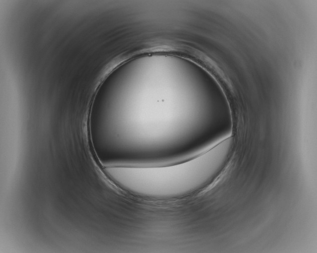 X0000116151417200911301531