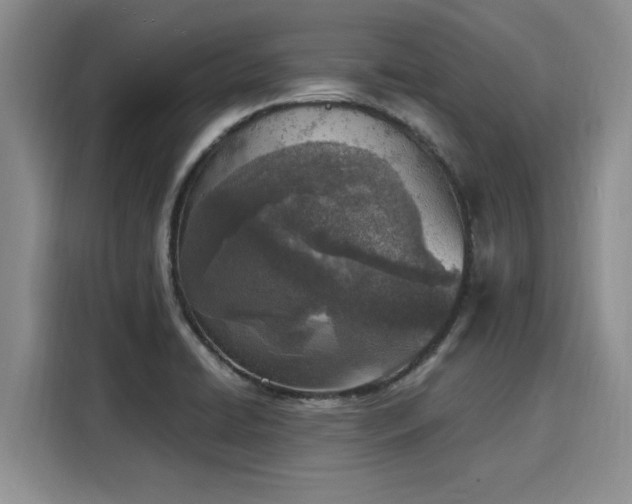 X0000116151422200911301532