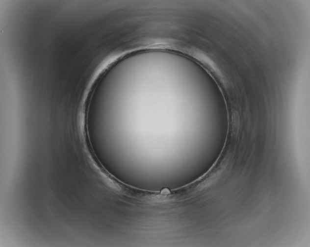 X0000116151424200911301532