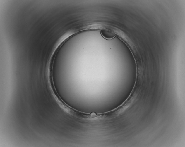 X0000116151426200911301532