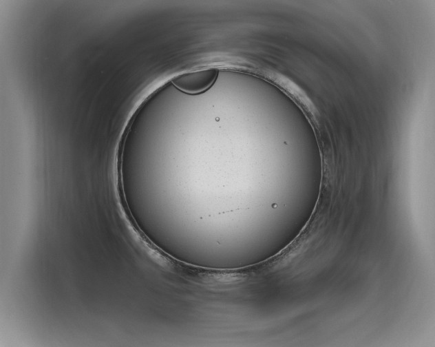 X0000116151431200911301532