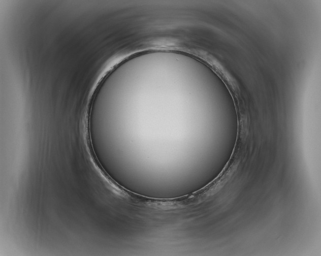 X0000116151432200911301532