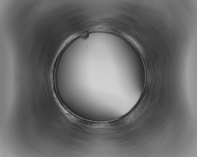 X0000116151434200911301532