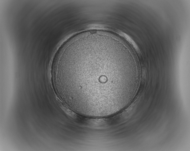 X0000116151435200911301532