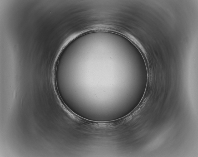 X0000116151437200911301532