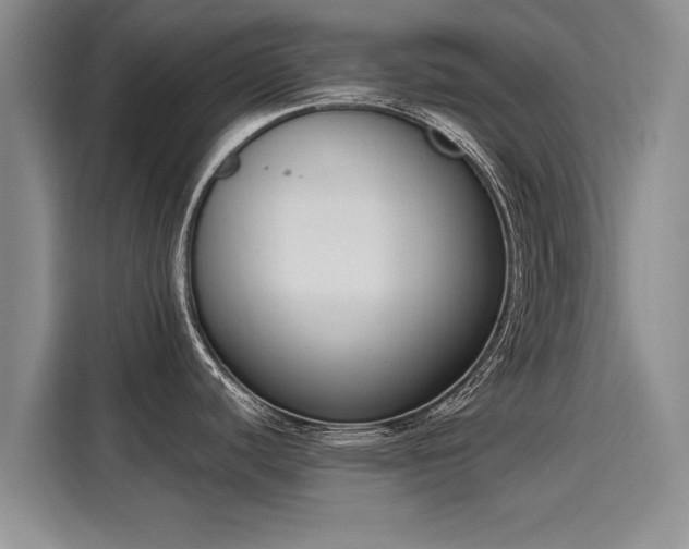 X0000116151440200911301532