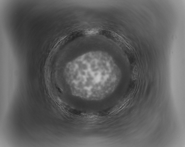 X0000116151441200911301531