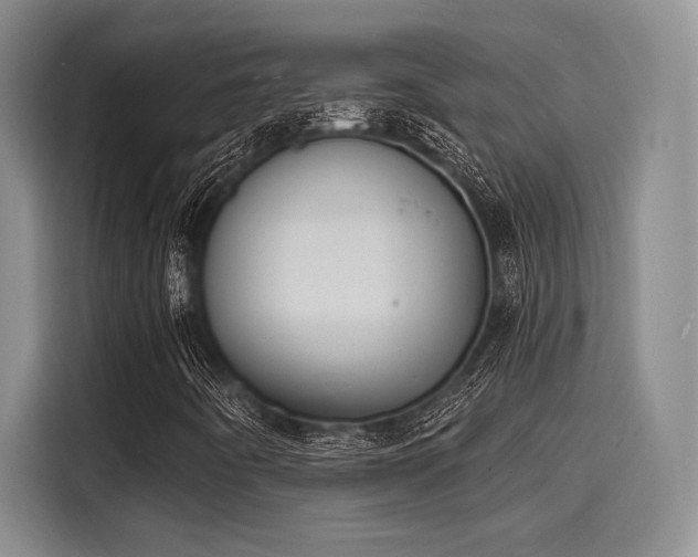 X0000116151442200911301531